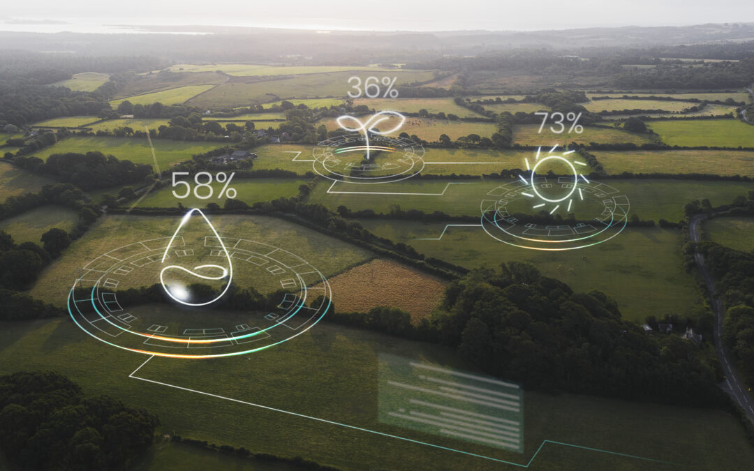 La inteligencia artificial revoluciona el sector de la agricultura